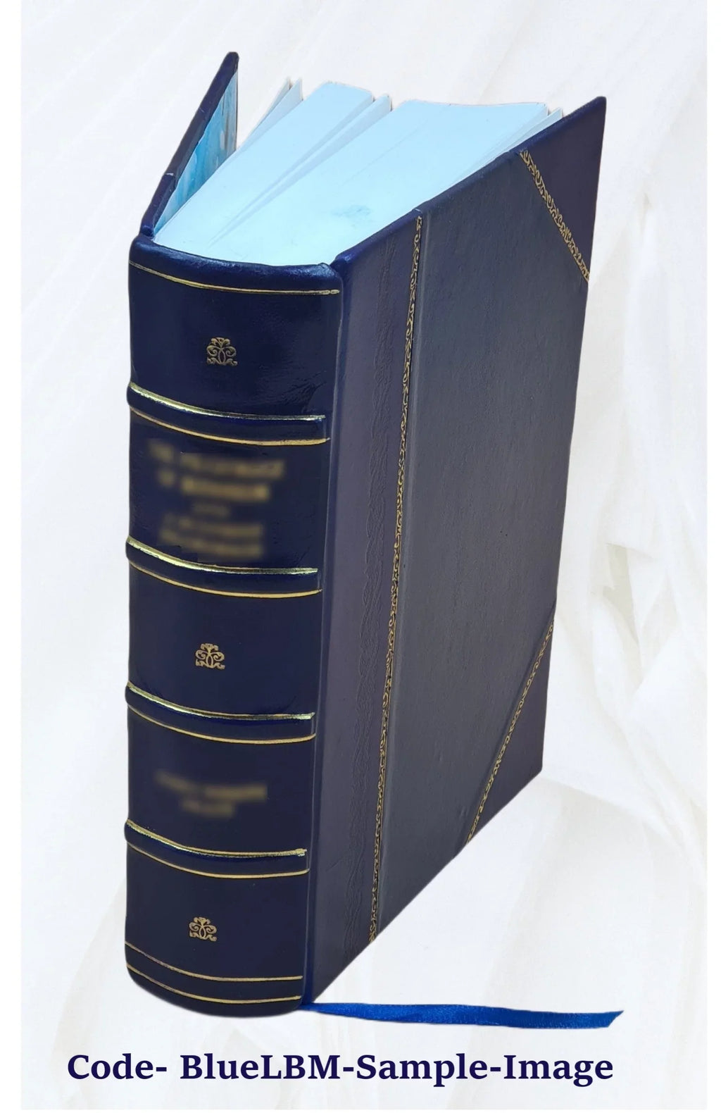 forty-five Bound] o'Rushes Cinderella three Cap Cinderella, and Catskin, hundred of 1893 [Leather : variants and