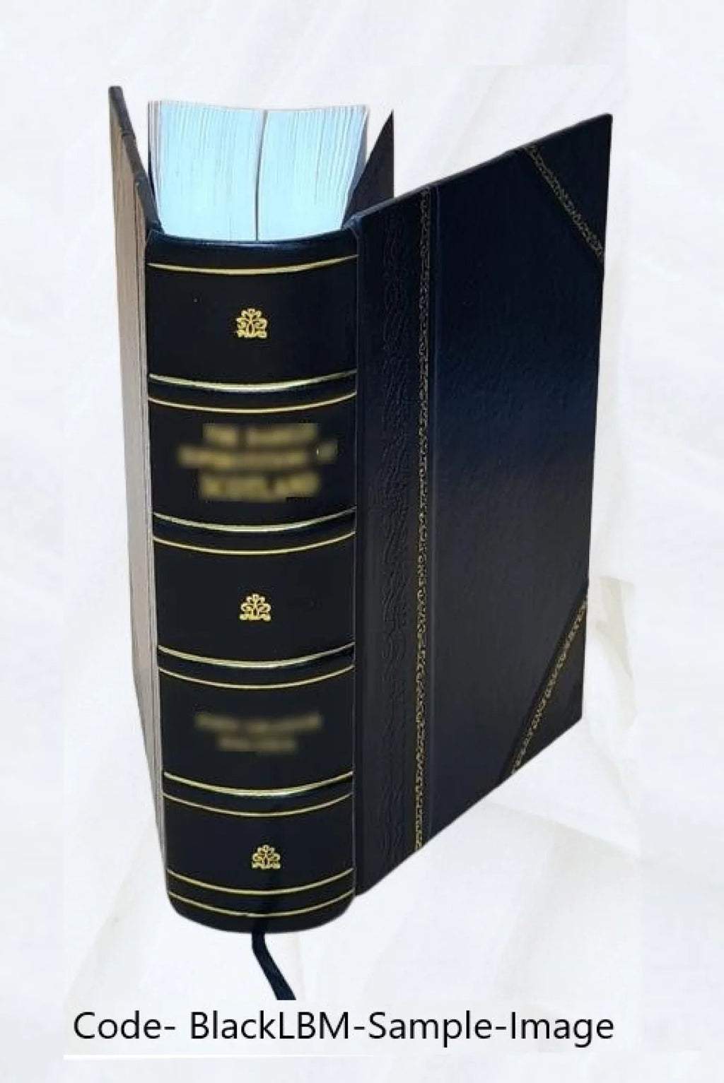 forty-five Bound] o'Rushes Cinderella three Cap Cinderella, and Catskin, hundred of 1893 [Leather : variants and