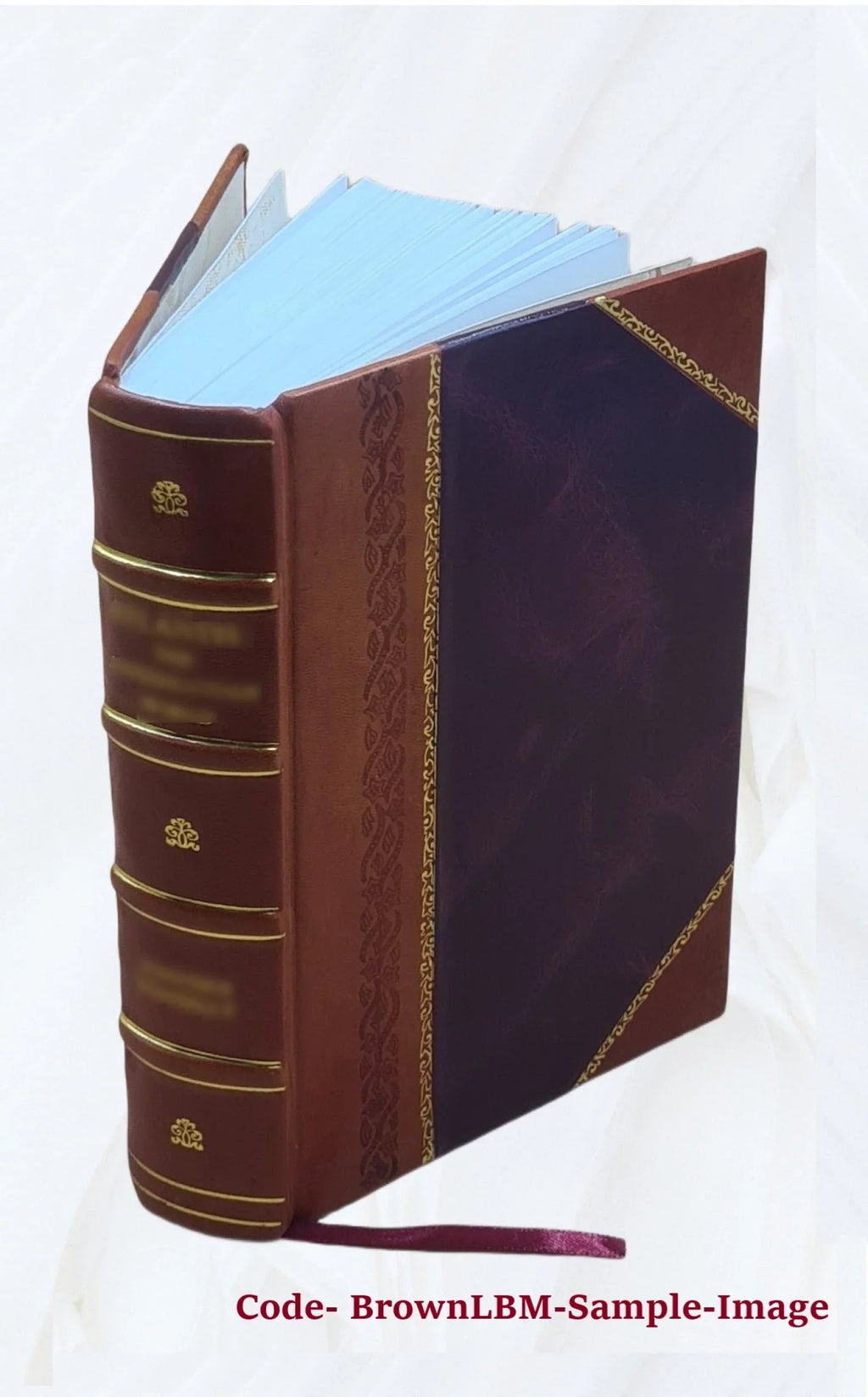old the : complete author [Leather one "Wide, of Bound] by wide volume The world." helmet in 1869 /