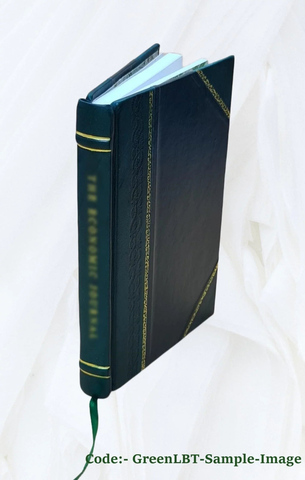 Russian [Leather Bound] 6-8 Course - Text Student FSI lesson FAST