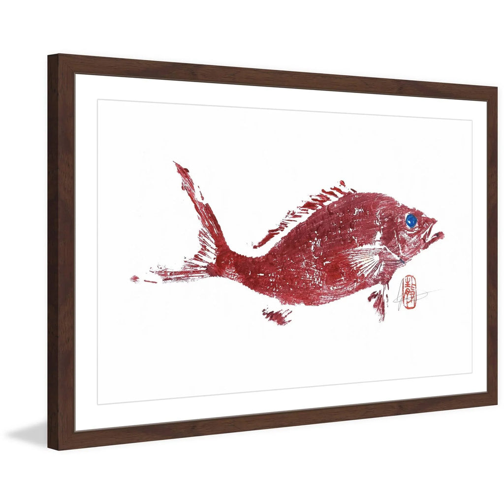 Painting Framed 2" Snapper "Red Print