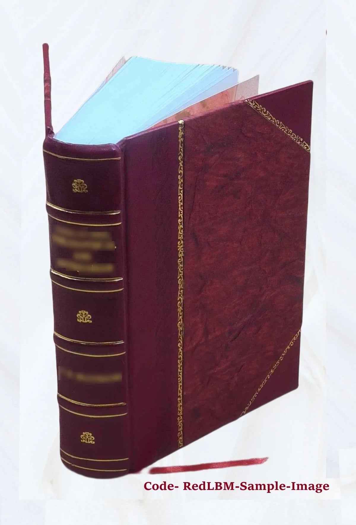 Volume 1891 Bound] Opera omnia [Leather 18