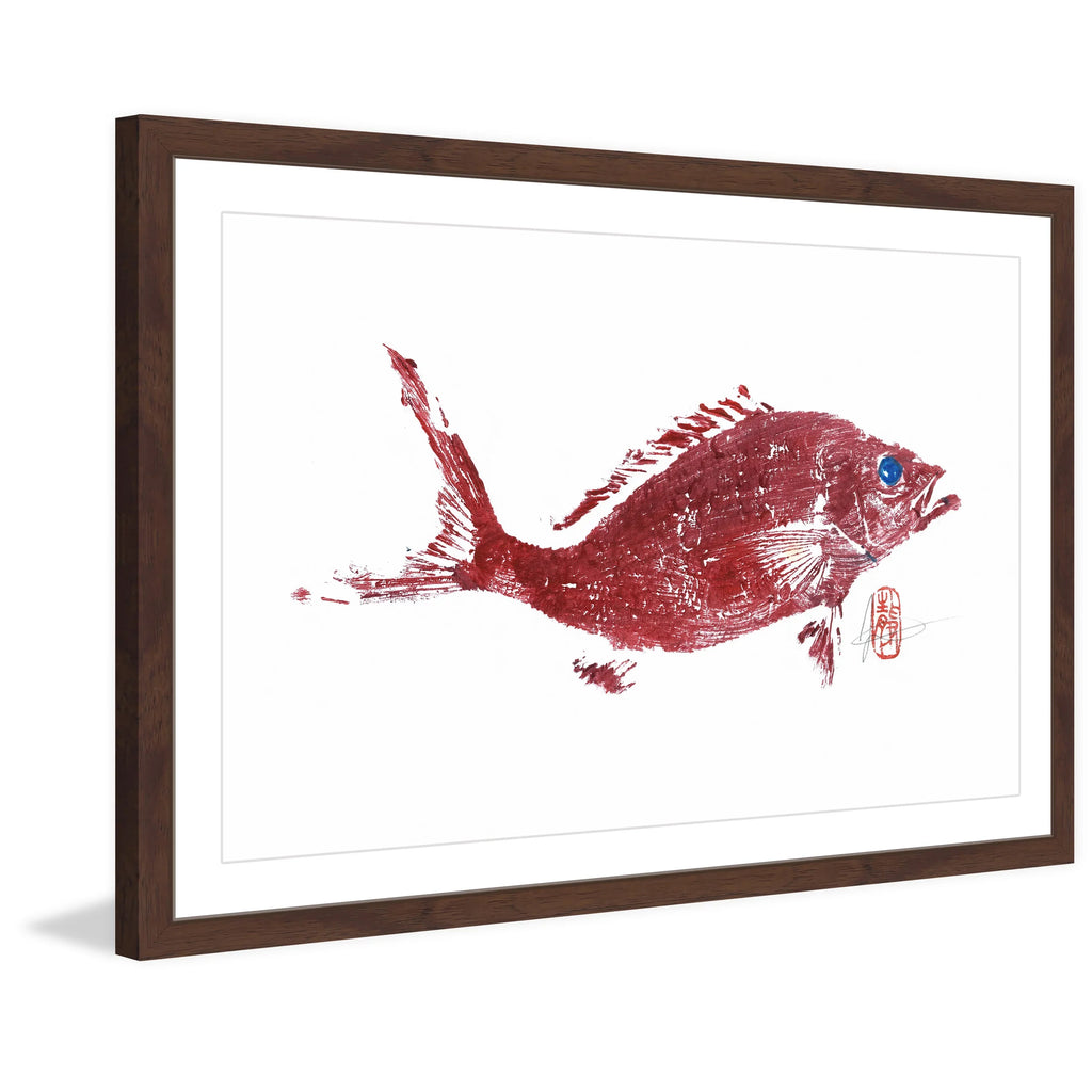 Painting Framed 2" Snapper "Red Print